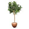 lyrata deluxe y kunstboom 220cm in pot combination image 4