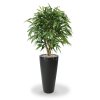 109412 longifolia xl deluxe 120 tondo alto 70 antraciet