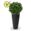 138205uv buxus ball 50 tondo alto 34 antraciet