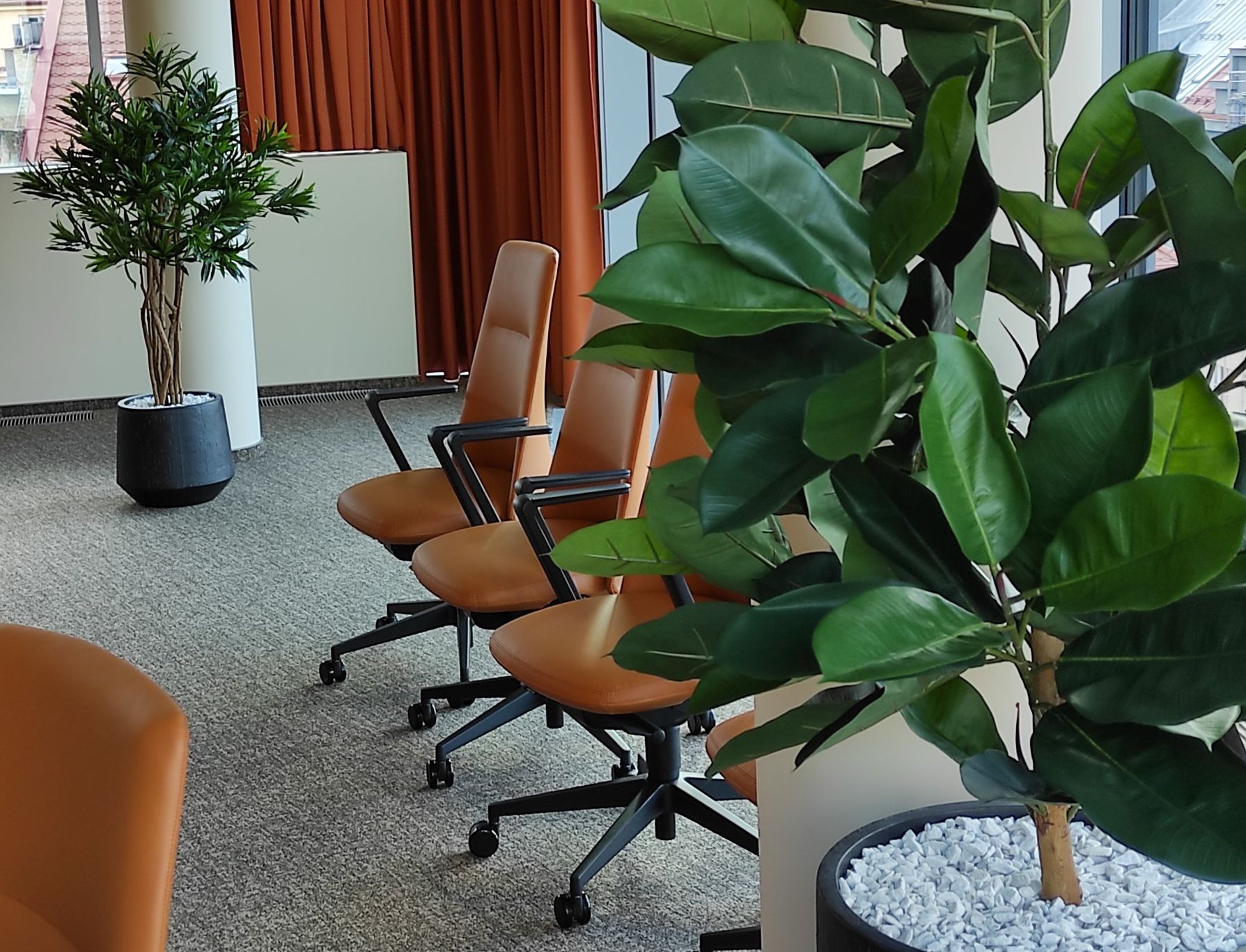 Umělá zeleň v novém sídle AGEL