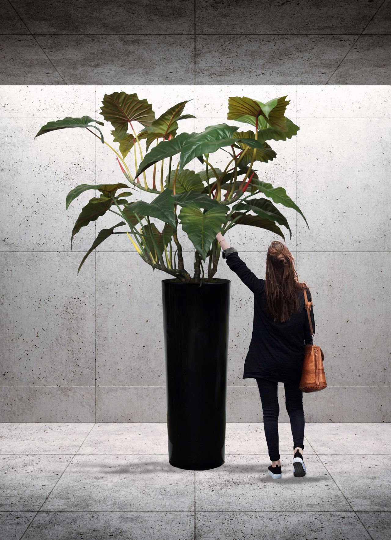 I takový Philodendron může být pěkný.......macek 🐘