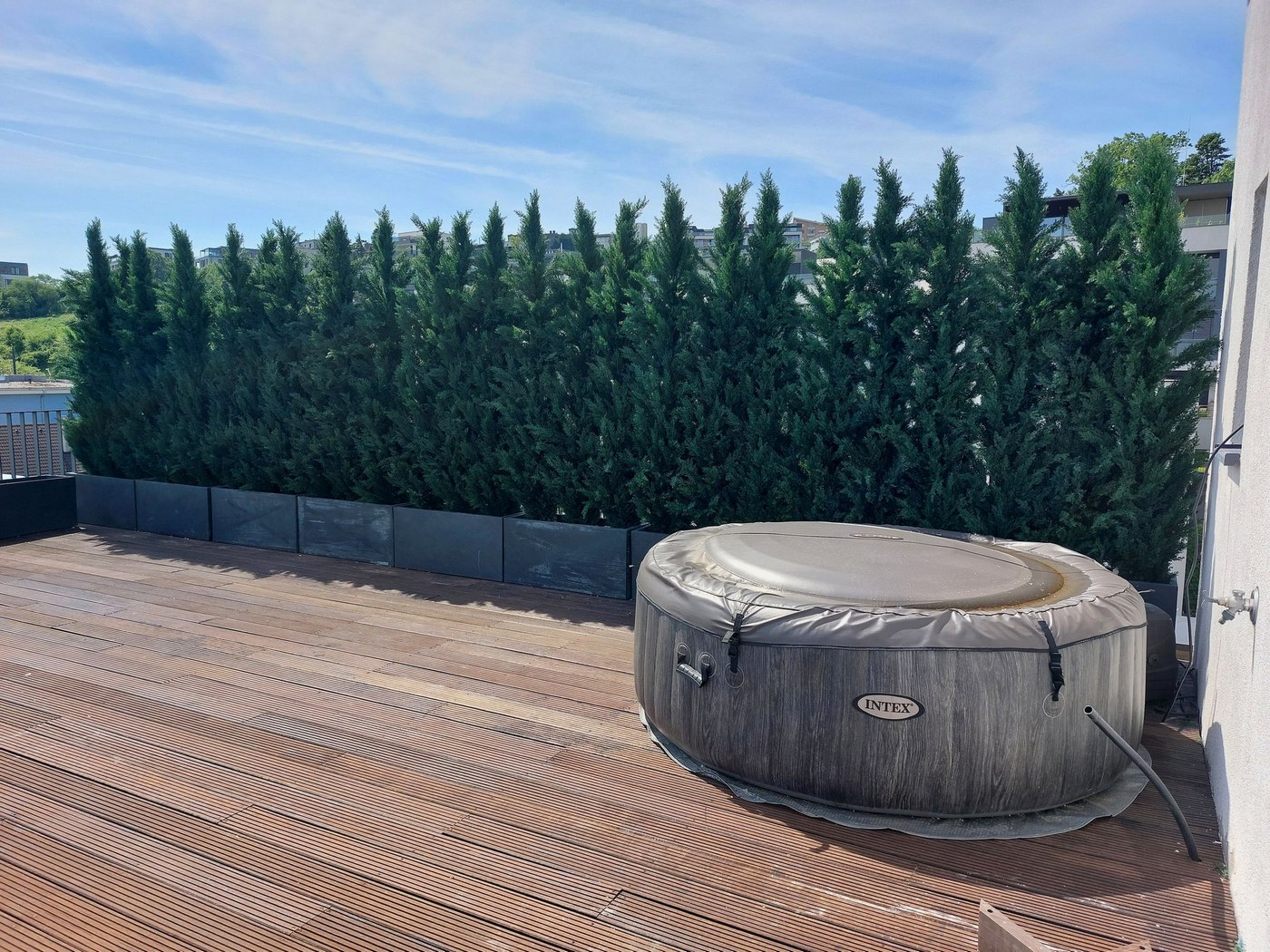 Také vám rostou túje jako z vody... ? 😮