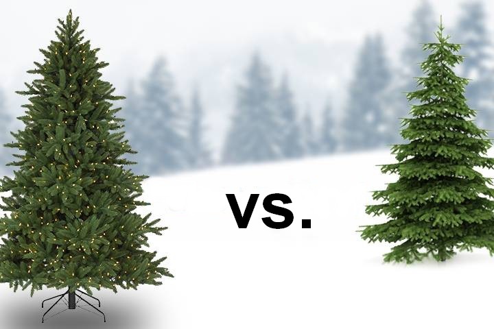 Vánoční stromečky - živý nebo umělý?
