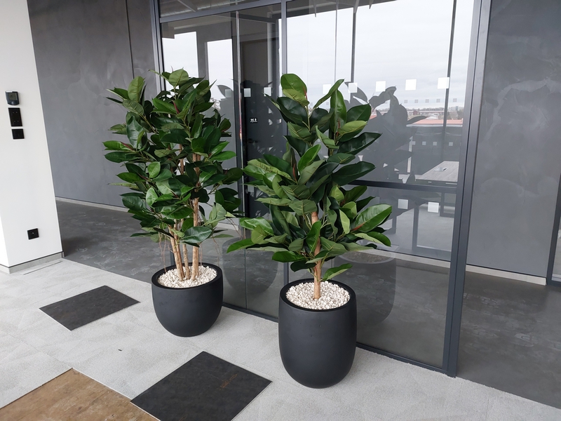 Umělé rostliny do kanceláří