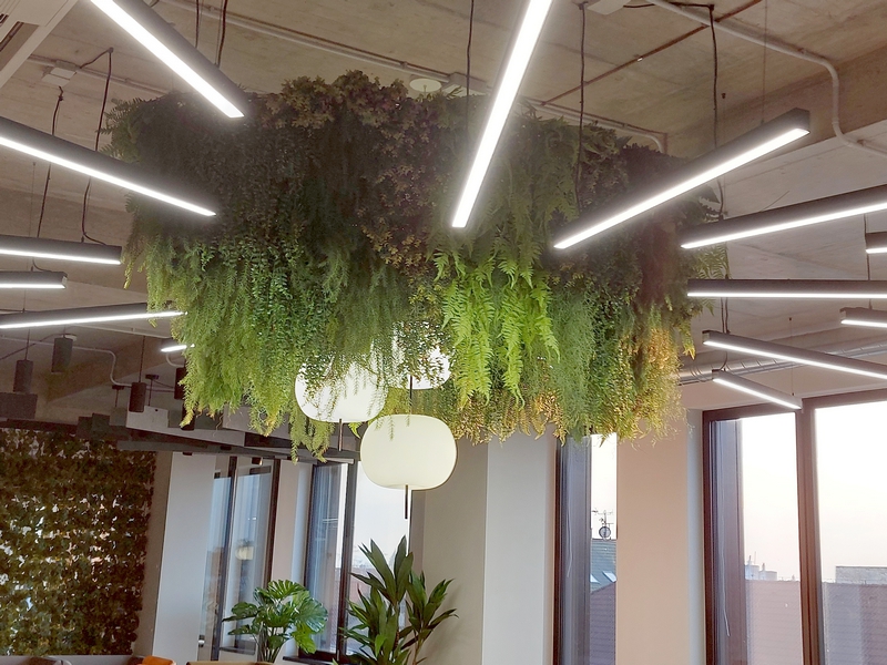 zelené stropy z umělých rostlin