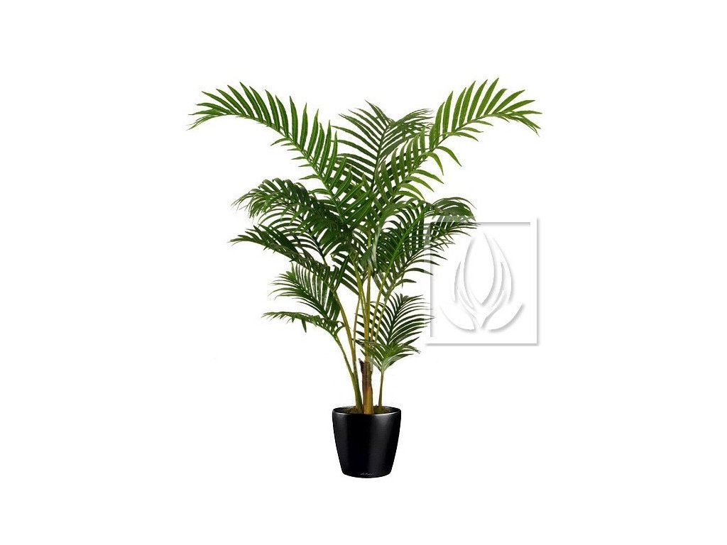 Umělá palma Areca (120cm)