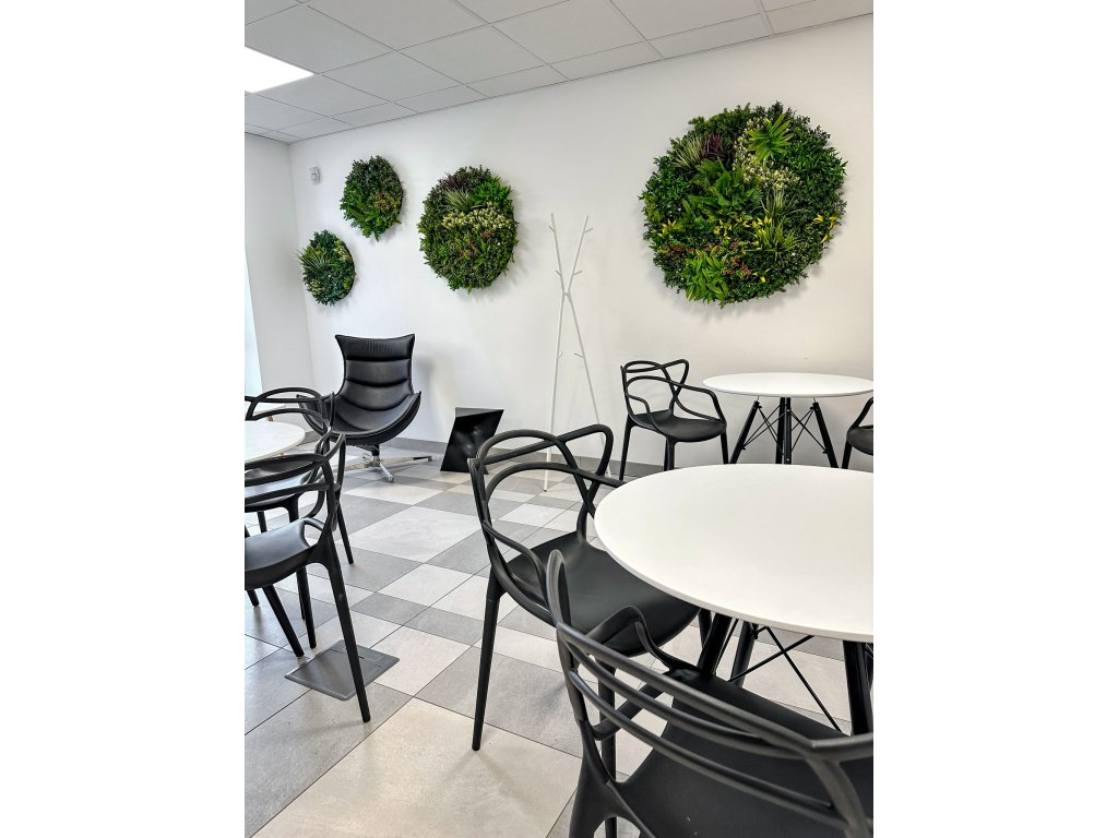 Vegetatie colorful jungle plantenwand