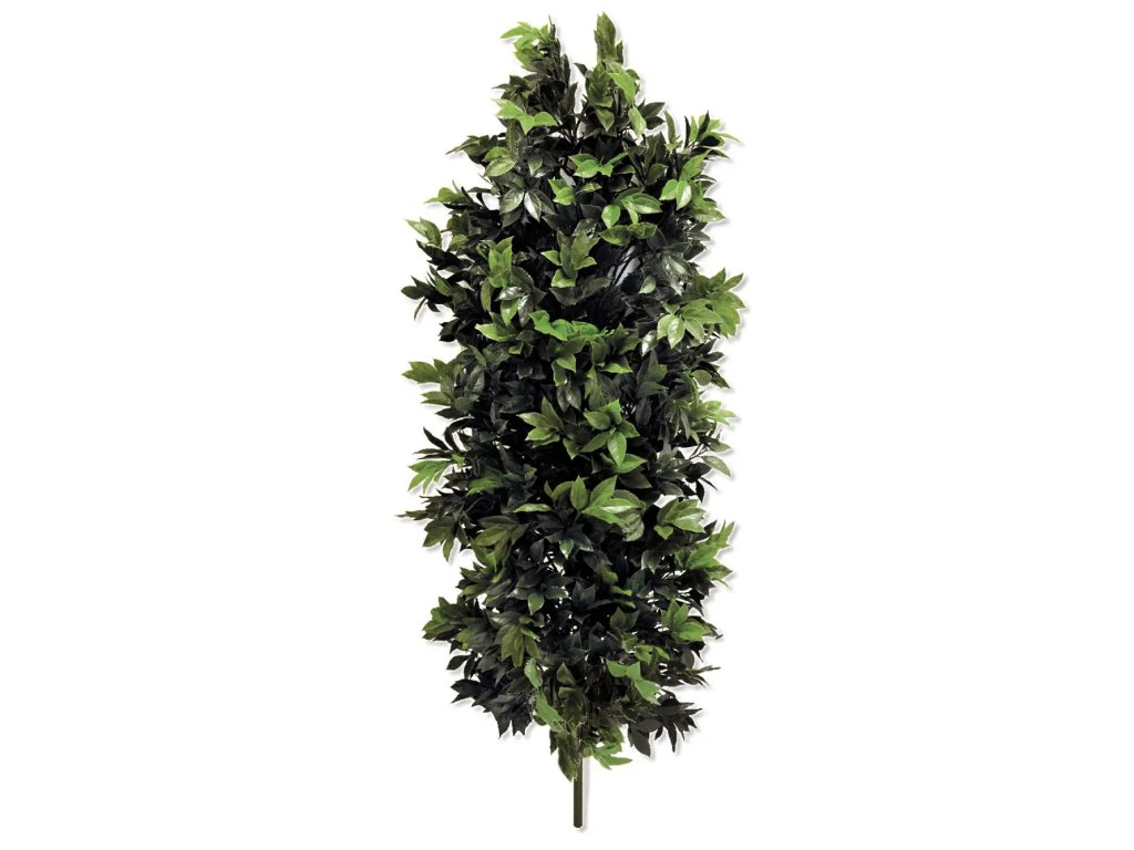 AnyConv.com VIR 0059 COLORI CORRETTI