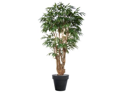 10936 umely strom longifolia malabar lux 250cm