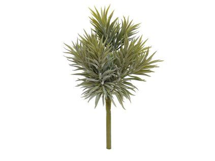 404003 Peperomia Happy Bean boeket 35 v2