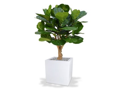 Umělý strom Fikus Lyrata DeLuxe (130cm)