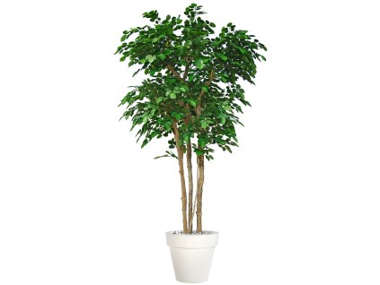 Beech Florida 300 cm Green V1080G07(1)