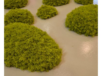 Lichen Dunes 2