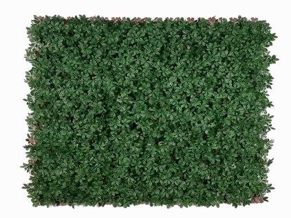Umělý živý plot Schefflera (100cm x 2m)  tmavě zelená