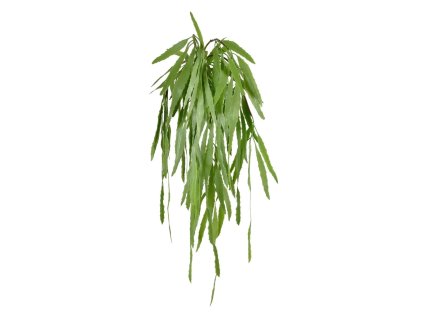 207906 eucalyptus 60 groen 3