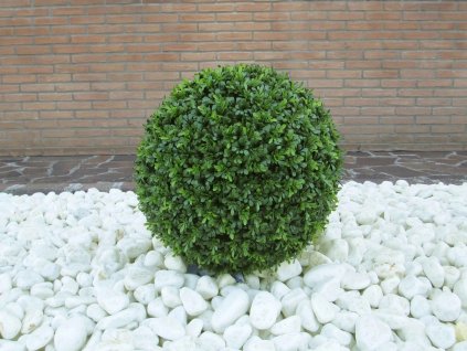AnyConv.com vir 005 bassa sassi bianchi scaled