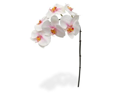 AnyConv.com 510051 phalaenopsis tak x6 55 roze 1 4