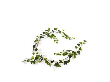 AnyConv.com 302118 hedera guirlande 180 groen v2 5