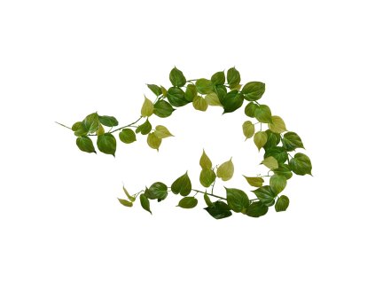 AnyConv.com Philodendron Micans RT guirlande 180 303418 1 4