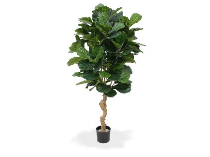 AnyConv.com 102116 lyrata deluxe 155 cm 1 6(1)