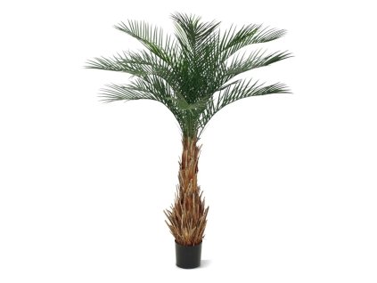 AnyConv.com phoenix kunstpalm deluxe 180 cm 173417 1 4