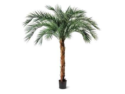 AnyConv.com Phoenix Kunstpalm OD Deluxe 225 cm 173421 1 3