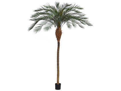 AnyConv.com 173630 Phoenix Kunstpalm Delux OD 300cm(1)