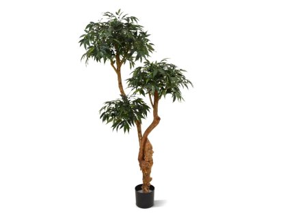 AnyConv.com shirakashi layer deluxe x3 160 cm 184316 1 4