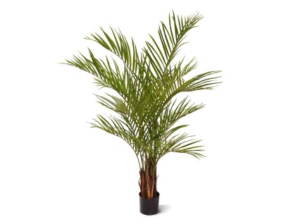 AnyConv.com areca kunstpalm deluxe 150 cm 170115 1 2