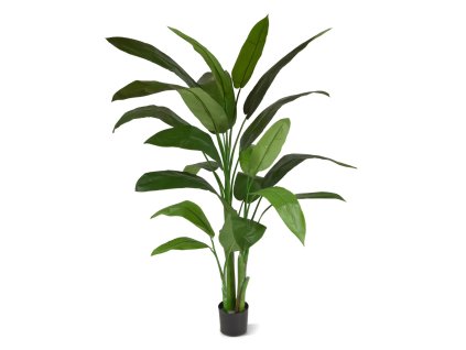 AnyConv.com 194018 Heleconia 170 1 3