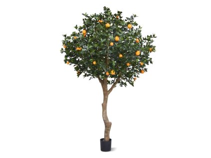 AnyConv.com sinaasappelboom deluxe giant 193027 1 4