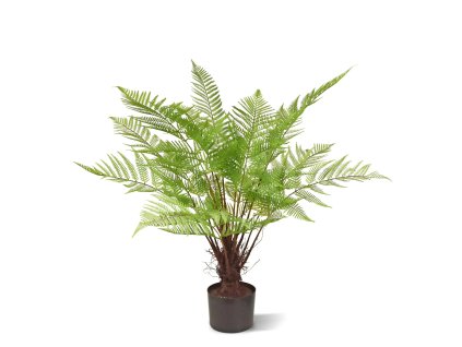 AnyConv.com Bosvaren 80 408008 1 3