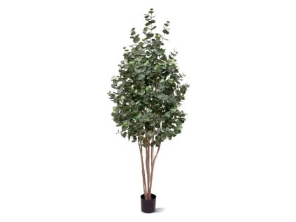 AnyConv.com 143118 Eucalyptus kunstboom 205 01 3