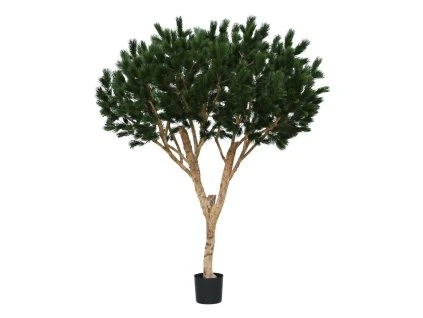 AnyConv.com 151926 Pinus Umbrella XL deluxe 260