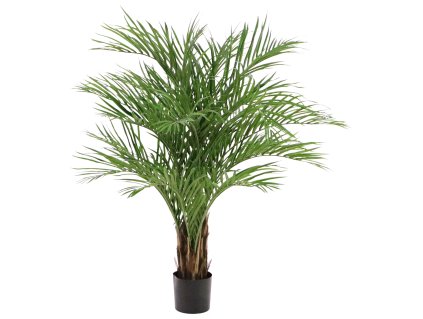 AnyConv.com 171415 2 2