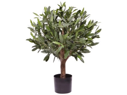 AnyConv.com 136404UV Olijfbol D40(1)