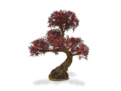 AnyConv.com 156209bu ming aralia bonsai pl 90 burgundy op voet 5