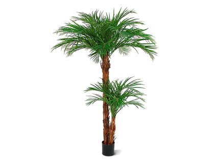 AnyConv.com areca kunstpalm deluxe 225 cm 170222 1 5