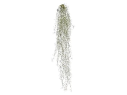 AnyConv.com 203312 tillandsia kunsthanger deluxe 120 4