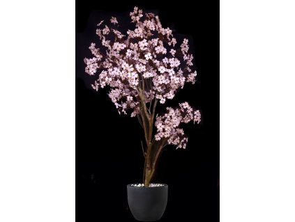 Cornus Tree 240 cm Pink V1109P06