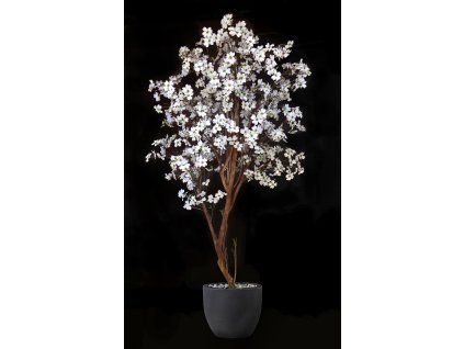 Cornus Tree 240 cm White V1109W06