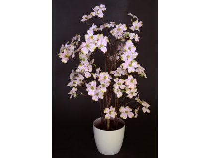 Cornus Plant 90 cm Pink V1109P05