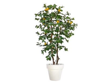 Lemon Tree 180 cm Green Yellow V1104005