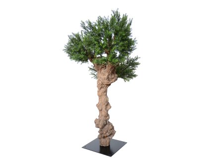 Pine Taxus Botero 190 cm Green 8105003