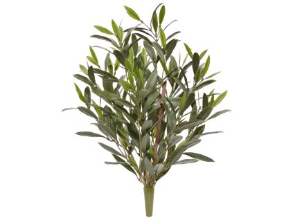 AnyConv.com 136305UV Olijf boeket 50