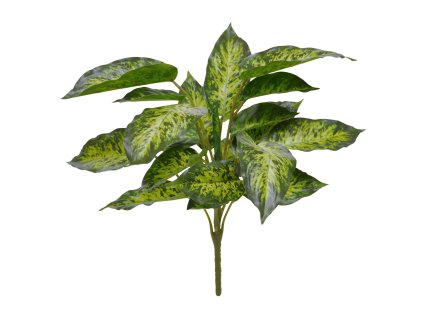 AnyConv.com 447004 Aglaonema boeket 40 4