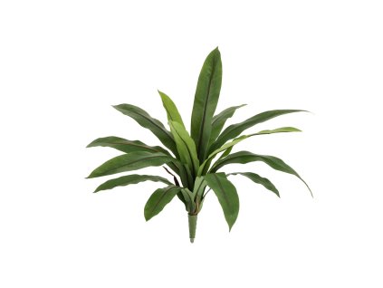 AnyConv.com 443804 asplenium antiquum kunstvaren 40 1(1)