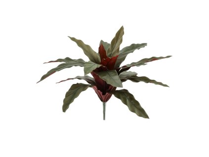 AnyConv.com 152103 calathea 30cm kunstplant groen rood 30 1