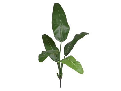 AnyConv.com Traveller Palm 100 boeket 170710 1 3