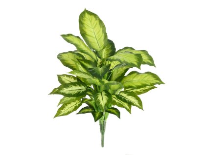 AnyConv.com 448605 dieffenbachia kunstplant 55cm 2